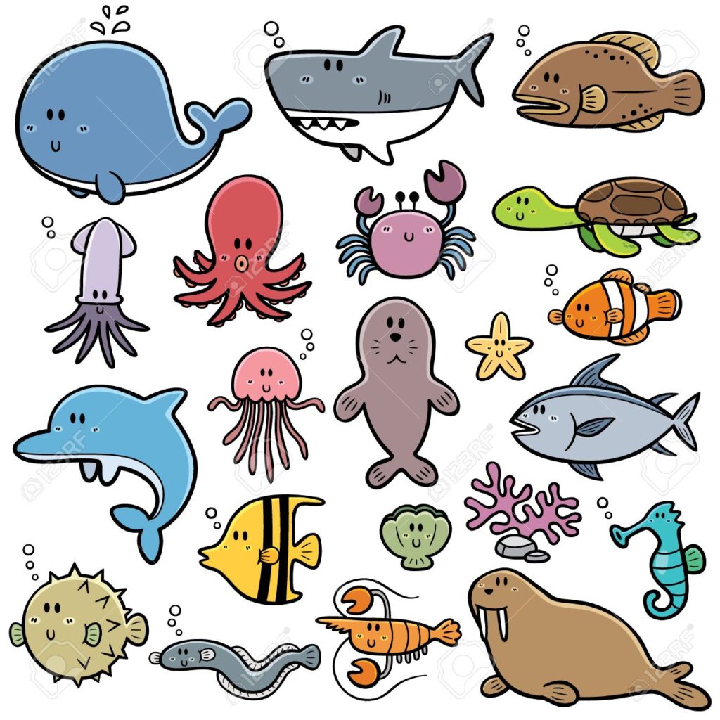 Animales De Mar Dibujo