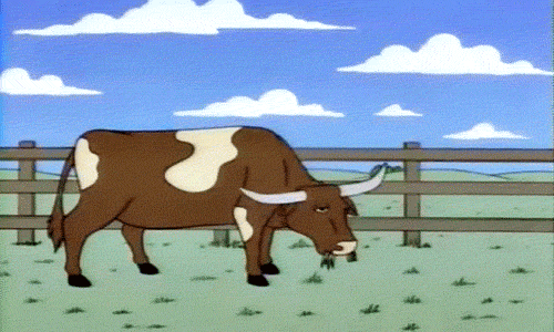 las-vacas-y-los-caballos-son-los-animales-mas-mortales-de-australia.gif